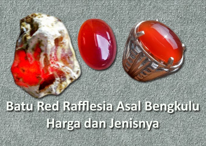 Batu Red Rafflesia Asal Bengkulu