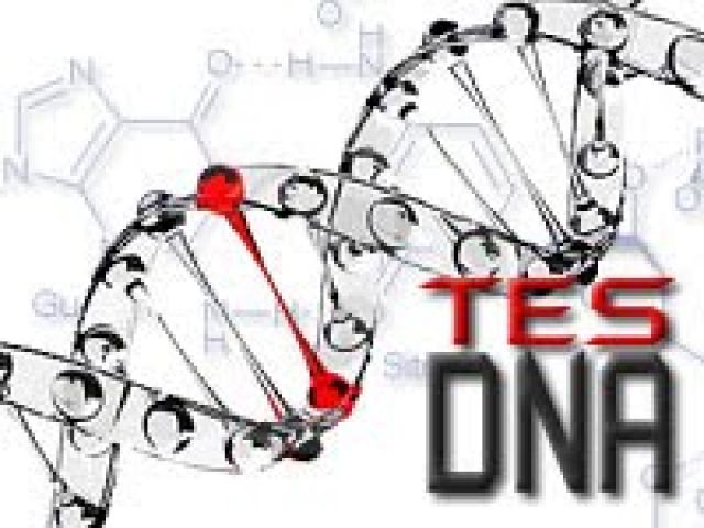 Test DNA