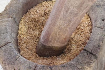 Lesung (ilustrasi: Sahabat Nestle)