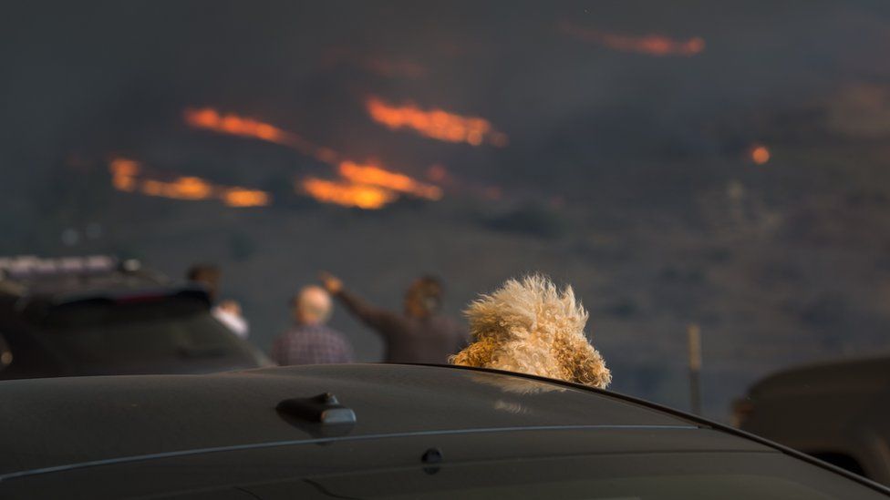 Kabakaran hutan di California. (Foto: Getty Images/BBC News)