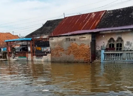 Banjir rob.