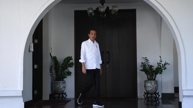 Presiden Jokowi di Istana.